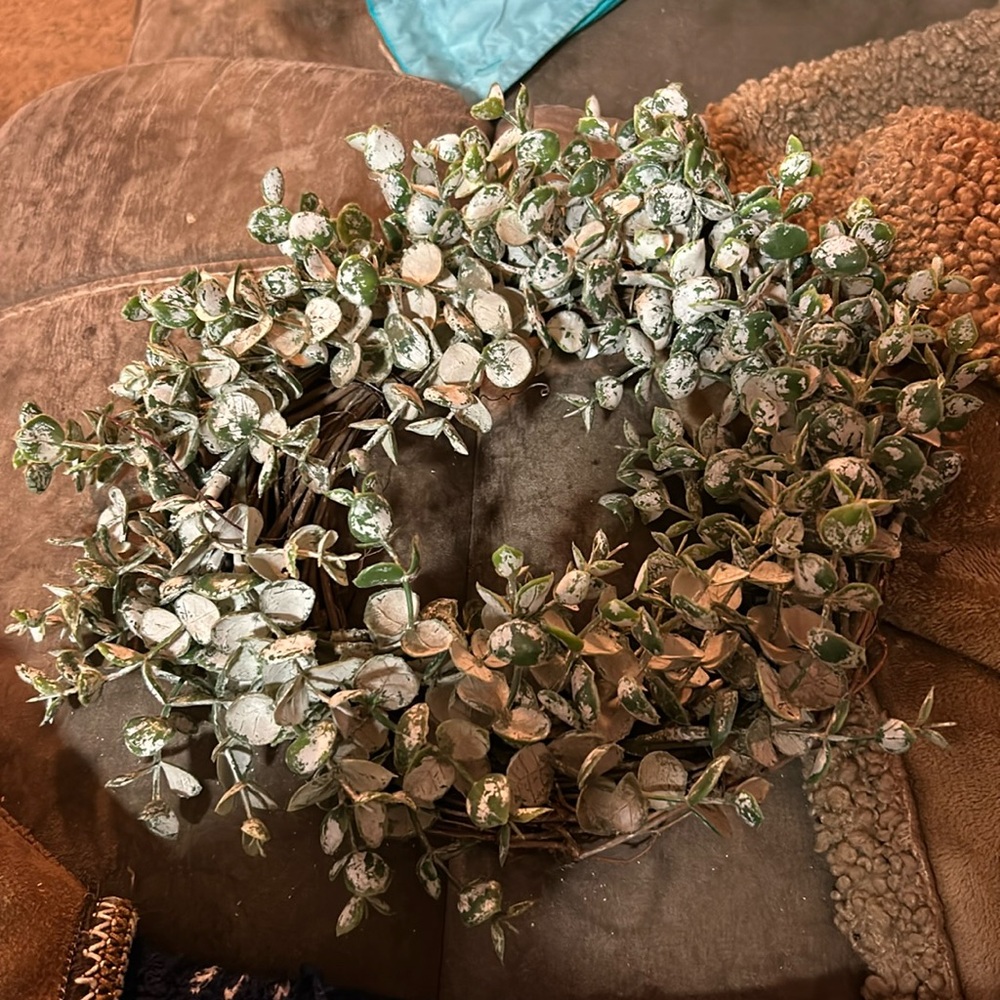 Eucalyptus wreath 12” white and green